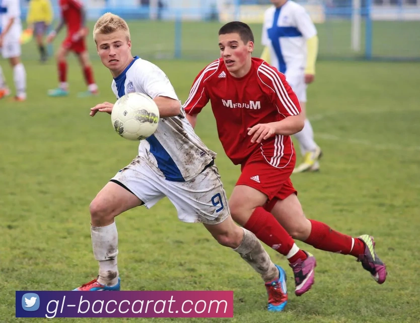 百家乐官网平台生态图