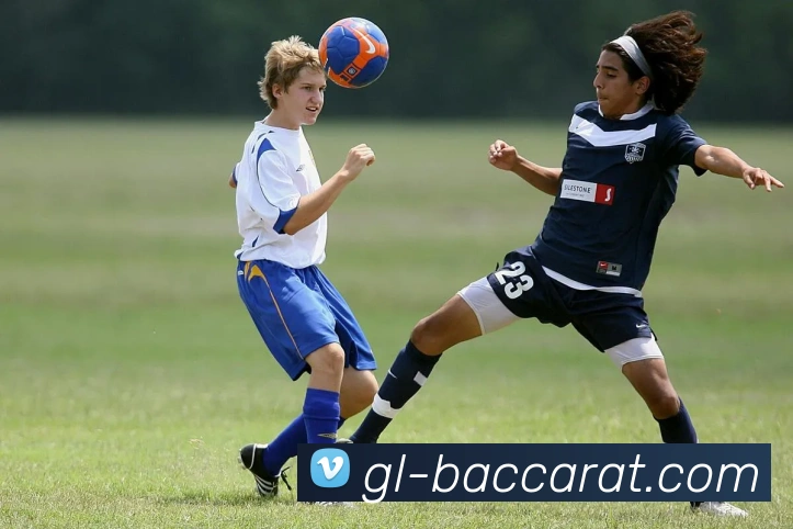 数据防护可视化